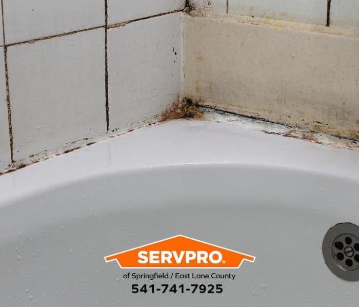 Mold grows around a leaking tub wall in a bathroom.
