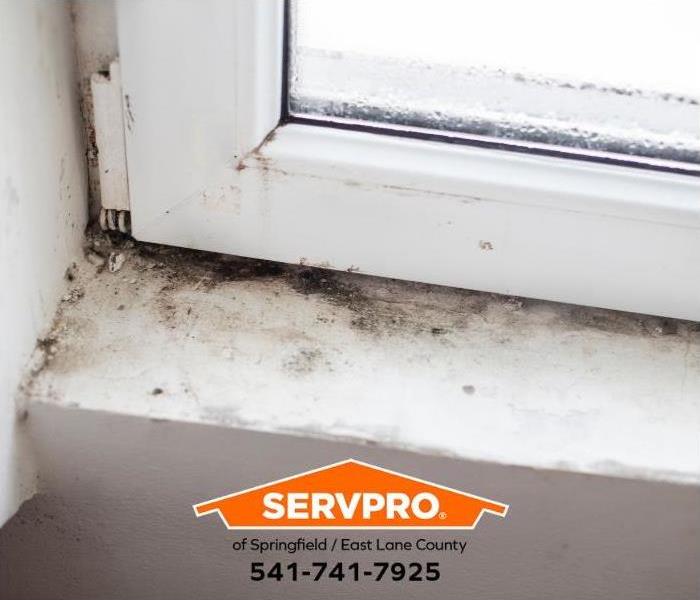 Mold grows around a leaking window.