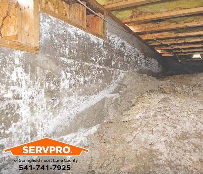 A crawl space under a home is shown.