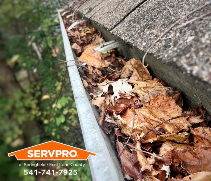 A rain gutter is clogged by leaves and debris.